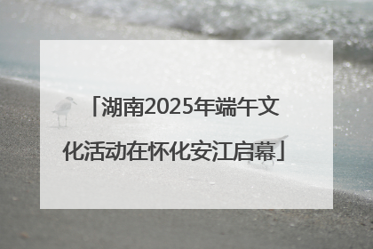 湖南2025年端午文化活动在怀化安江启幕