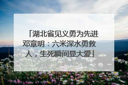 湖北省见义勇为先进邓章明：六米深水勇救人，生死瞬间显大爱