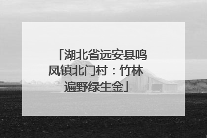 湖北省远安县鸣凤镇北门村：竹林遍野绿生金