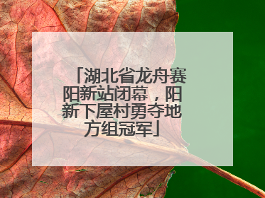 湖北省龙舟赛阳新站闭幕，阳新下屋村勇夺地方组冠军