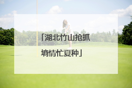 湖北竹山抢抓墒情忙夏种
