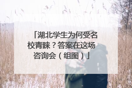 湖北学生为何受名校青睐？答案在这场咨询会（组图）