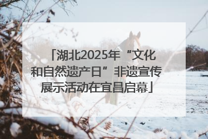 湖北2025年“文化和自然遗产日”非遗宣传展示活动在宜昌启幕