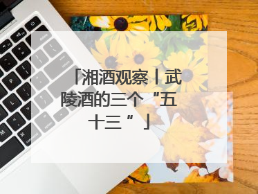 湘酒观察丨武陵酒的三个“五十三 ”