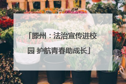 滕州：法治宣传进校园 护航青春助成长