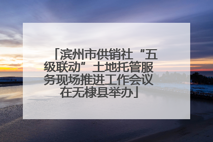 滨州市供销社“五级联动”土地托管服务现场推进工作会议在无棣县举办