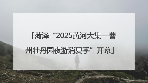 菏泽“2025黄河大集—曹州牡丹园夜游消夏季”开幕