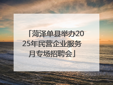 菏泽单县举办2025年民营企业服务月专场招聘会