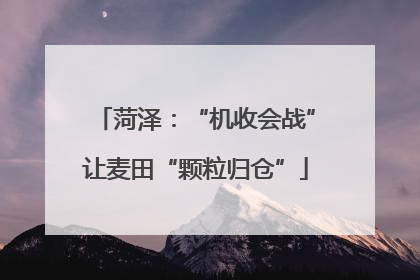菏泽：“机收会战”让麦田“颗粒归仓”