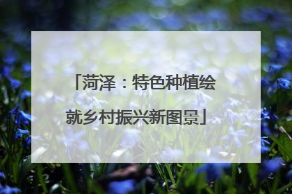 菏泽：特色种植绘就乡村振兴新图景