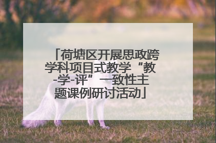 荷塘区开展思政跨学科项目式教学“教-学-评”一致性主题课例研讨活动
