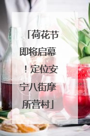 荷花节即将启幕！定位安宁八街摩所营村
