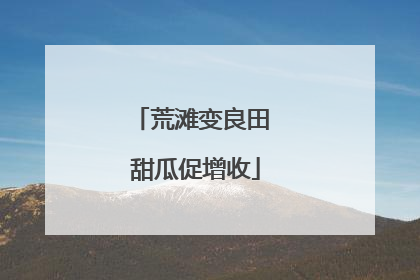 荒滩变良田 甜瓜促增收
