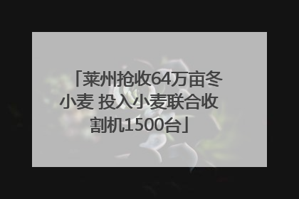 莱州抢收64万亩冬小麦 投入小麦联合收割机1500台