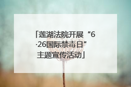 莲湖法院开展“6·26国际禁毒日”主题宣传活动