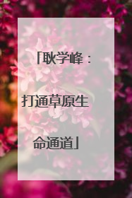 耿学峰：打通草原生命通道