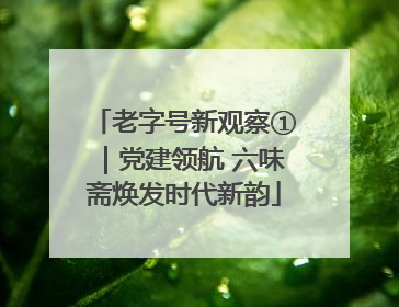 老字号新观察①｜党建领航 六味斋焕发时代新韵