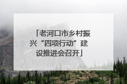 老河口市乡村振兴“四项行动”建设推进会召开