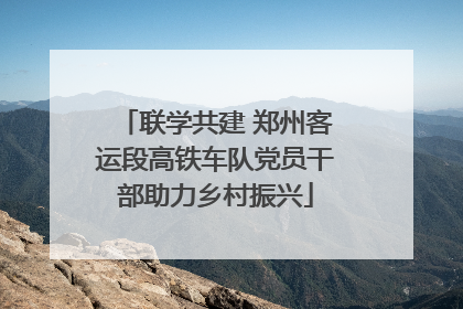 联学共建 郑州客运段高铁车队党员干部助力乡村振兴
