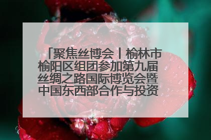 聚焦丝博会丨榆林市榆阳区组团参加第九届丝绸之路国际博览会暨中国东西部合作与投资贸易洽谈会