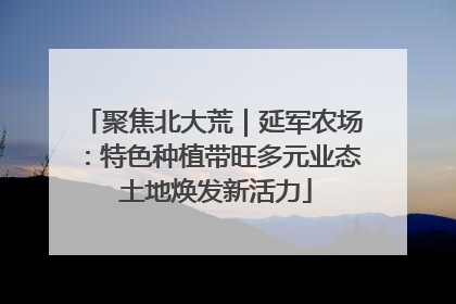聚焦北大荒｜延军农场：特色种植带旺多元业态 土地焕发新活力