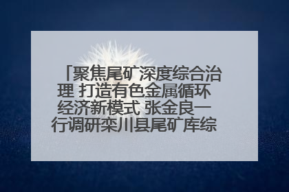 聚焦尾矿深度综合治理 打造有色金属循环经济新模式 张金良一行调研栾川县尾矿库综合治理工作
