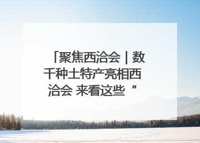 聚焦西洽会｜数千种土特产亮相西洽会 来看这些“爆款”产品