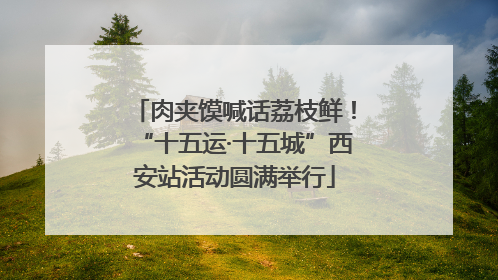 肉夹馍喊话荔枝鲜！“十五运·十五城”西安站活动圆满举行