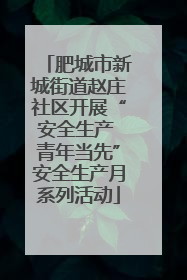 肥城市新城街道赵庄社区开展“安全生产 青年当先”安全生产月系列活动