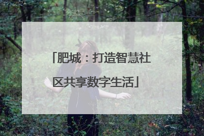 肥城：打造智慧社区共享数字生活