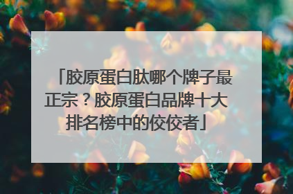 胶原蛋白肽哪个牌子最正宗？胶原蛋白品牌十大排名榜中的佼佼者