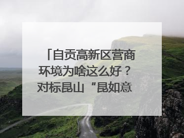 自贡高新区营商环境为啥这么好？对标昆山“昆如意”打造自贡“高兴办”｜美好生活有“盐”味
