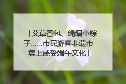 艾草香包、绳编小粽子……市民游客非遗市集上感受端午文化