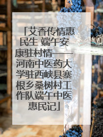 艾香传情惠民生 端午安康驻村情——河南中医药大学驻西峡县寨根乡桑树村工作队端午中医惠民记