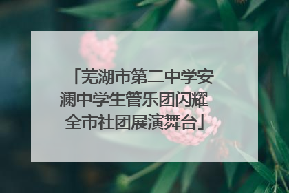 芜湖市第二中学安澜中学生管乐团闪耀全市社团展演舞台