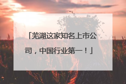 芜湖这家知名上市公司，中国行业第一！