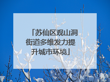 苏仙区观山洞街道多维发力提升城市环境
