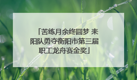 苦练月余终圆梦 耒阳队勇夺衡阳市第三届职工龙舟赛金奖