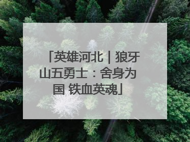 英雄河北｜狼牙山五勇士：舍身为国 铁血英魂