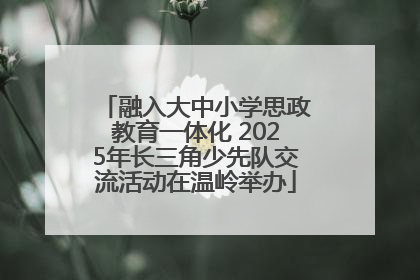 融入大中小学思政教育一体化 2025年长三角少先队交流活动在温岭举办