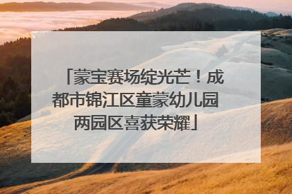蒙宝赛场绽光芒！成都市锦江区童蒙幼儿园两园区喜获荣耀