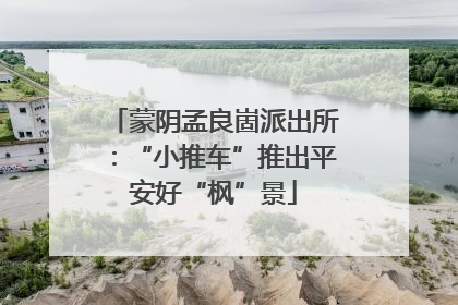 蒙阴孟良崮派出所：“小推车”推出平安好“枫”景