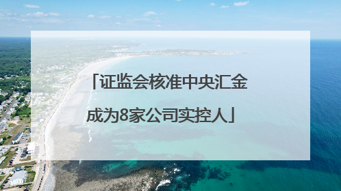 证监会核准中央汇金成为8家公司实控人