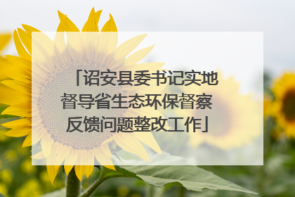 诏安县委书记实地督导省生态环保督察反馈问题整改工作