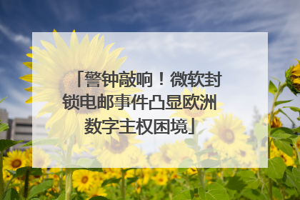 警钟敲响！微软封锁电邮事件凸显欧洲数字主权困境
