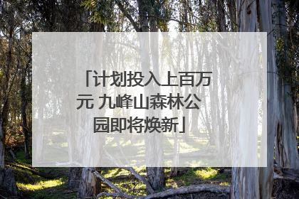 计划投入上百万元 九峰山森林公园即将焕新