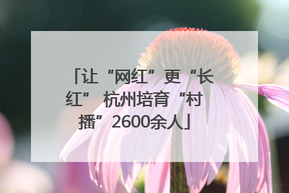让“网红”更“长红” 杭州培育“村播”2600余人