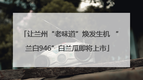 让兰州“老味道”焕发生机 “兰白946”白兰瓜即将上市