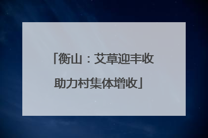 衡山：艾草迎丰收 助力村集体增收