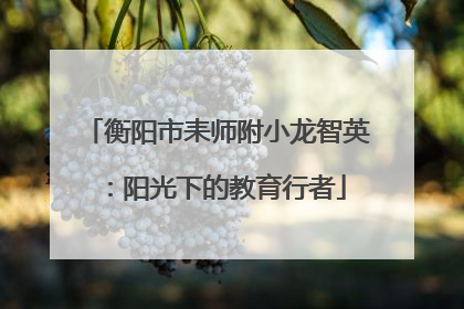 衡阳市耒师附小龙智英：阳光下的教育行者